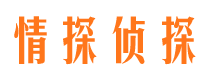 东海岛市婚姻调查